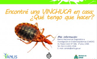 tarjeta frente vinchu