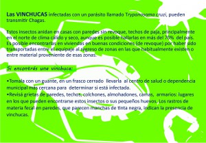 tarjeta1 jornadas Chagas