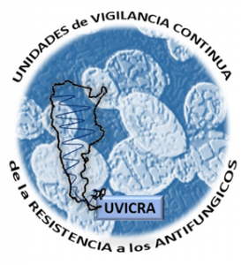 Logo mas grande