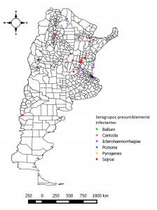 serogrupos