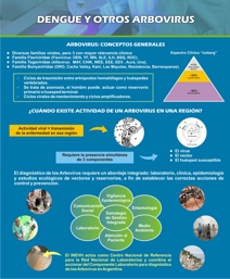 Dengue y otros arbovirus