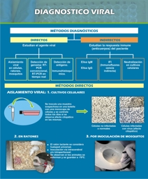 Diagnostico viral