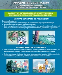 Prevencion