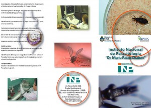 folleto inp 2015 TAPA